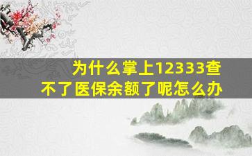 为什么掌上12333查不了医保余额了呢怎么办