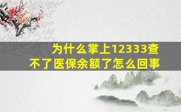 为什么掌上12333查不了医保余额了怎么回事