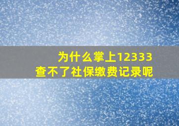 为什么掌上12333查不了社保缴费记录呢