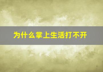 为什么掌上生活打不开