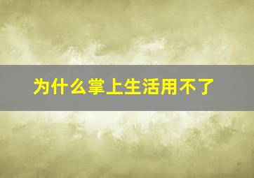 为什么掌上生活用不了