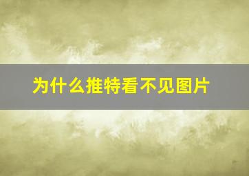 为什么推特看不见图片