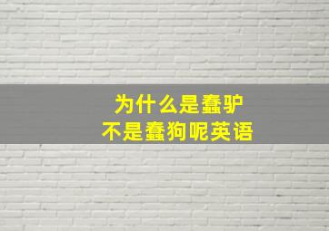 为什么是蠢驴不是蠢狗呢英语