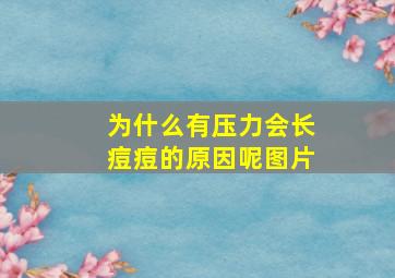 为什么有压力会长痘痘的原因呢图片