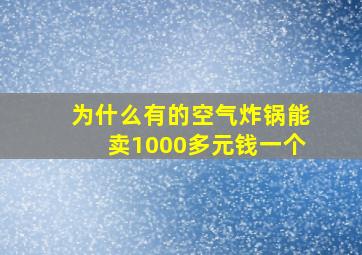 为什么有的空气炸锅能卖1000多元钱一个