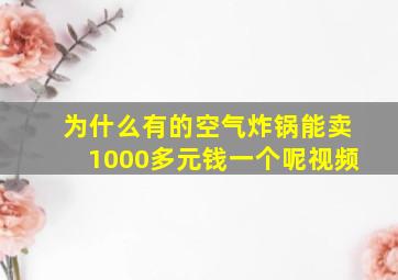 为什么有的空气炸锅能卖1000多元钱一个呢视频