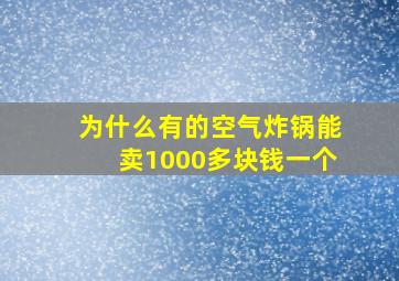 为什么有的空气炸锅能卖1000多块钱一个