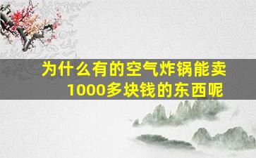 为什么有的空气炸锅能卖1000多块钱的东西呢