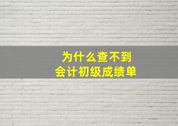 为什么查不到会计初级成绩单