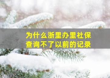 为什么浙里办里社保查询不了以前的记录