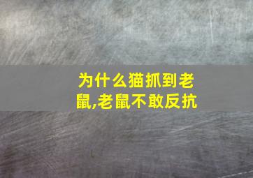 为什么猫抓到老鼠,老鼠不敢反抗