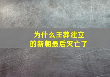 为什么王莽建立的新朝最后灭亡了