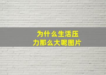 为什么生活压力那么大呢图片