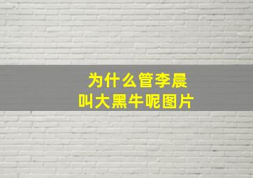 为什么管李晨叫大黑牛呢图片