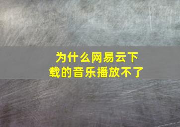 为什么网易云下载的音乐播放不了