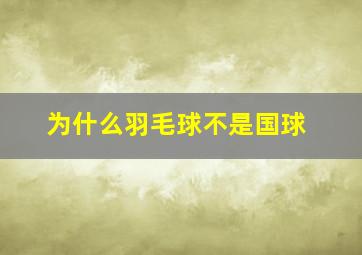 为什么羽毛球不是国球