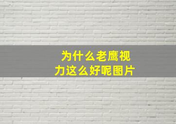 为什么老鹰视力这么好呢图片