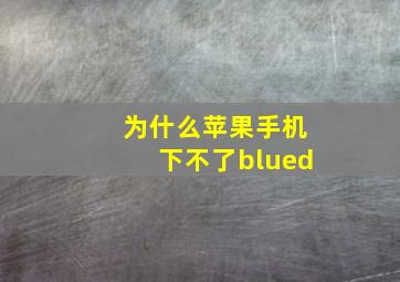 为什么苹果手机下不了blued