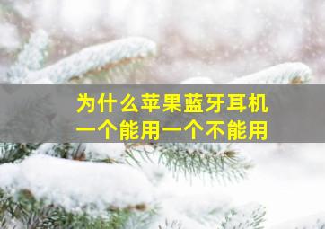 为什么苹果蓝牙耳机一个能用一个不能用