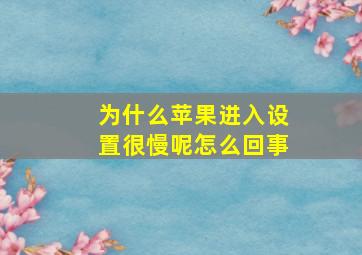 为什么苹果进入设置很慢呢怎么回事