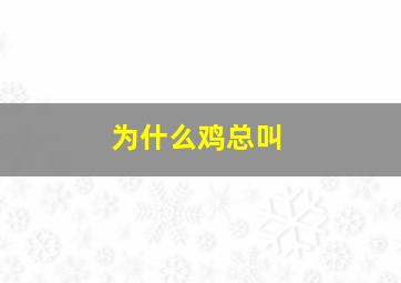 为什么鸡总叫