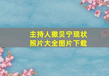 主持人撒贝宁现状照片大全图片下载