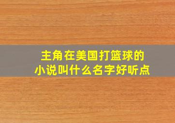 主角在美国打篮球的小说叫什么名字好听点