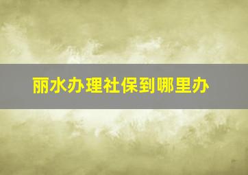 丽水办理社保到哪里办