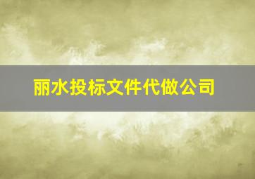 丽水投标文件代做公司