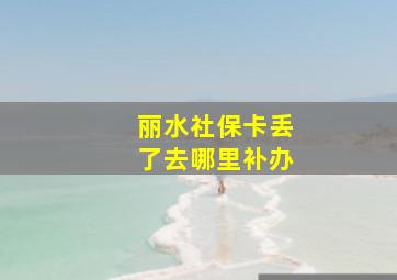 丽水社保卡丢了去哪里补办