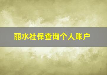 丽水社保查询个人账户