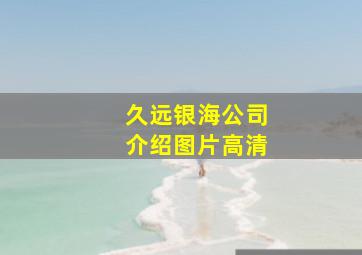 久远银海公司介绍图片高清