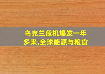 乌克兰危机爆发一年多来,全球能源与粮食