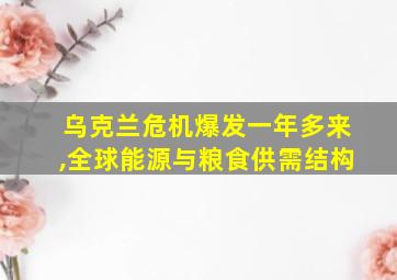 乌克兰危机爆发一年多来,全球能源与粮食供需结构