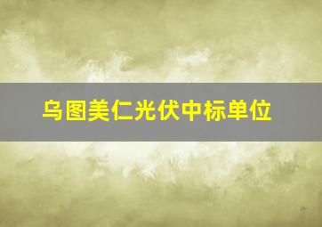 乌图美仁光伏中标单位