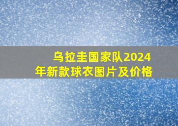 乌拉圭国家队2024年新款球衣图片及价格