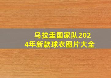 乌拉圭国家队2024年新款球衣图片大全