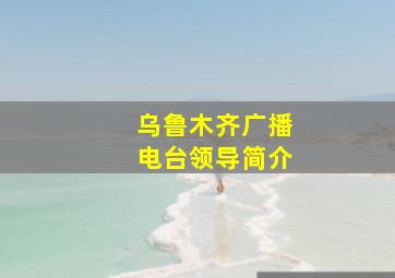 乌鲁木齐广播电台领导简介