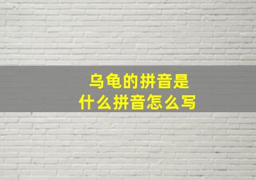 乌龟的拼音是什么拼音怎么写