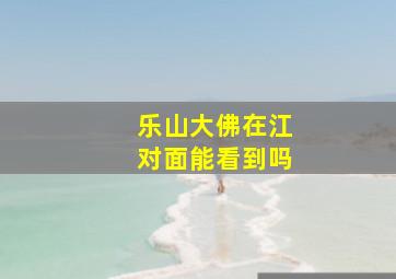 乐山大佛在江对面能看到吗