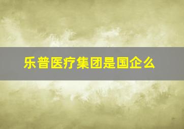 乐普医疗集团是国企么