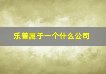 乐普属于一个什么公司