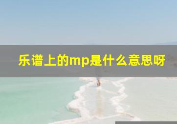 乐谱上的mp是什么意思呀