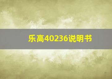 乐高40236说明书