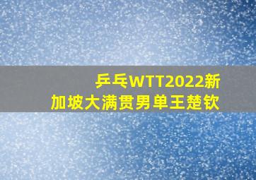 乒乓WTT2022新加坡大满贯男单王楚钦