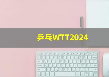 乒乓WTT2024