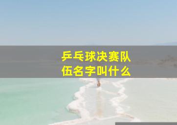 乒乓球决赛队伍名字叫什么