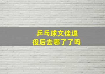 乒乓球文佳退役后去哪了了吗