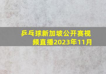 乒乓球新加坡公开赛视频直播2023年11月