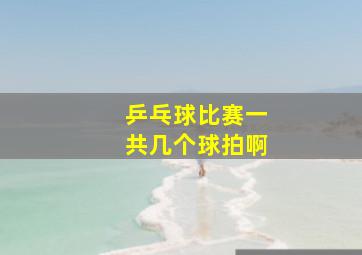 乒乓球比赛一共几个球拍啊